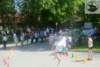 dsc03868_small.jpg