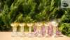 dsc03895_small.jpg