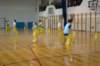 dsc07264_small.jpg