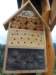 dscn1318_small.jpg