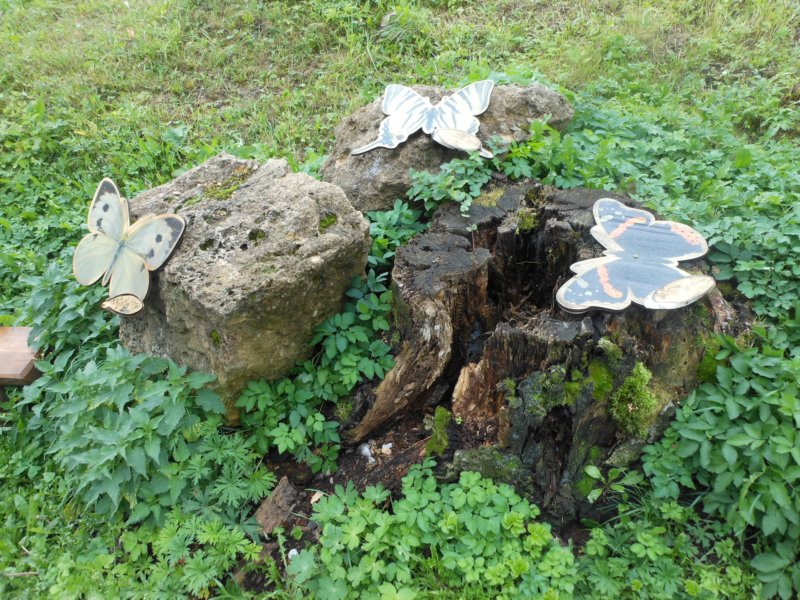 dscn1324.jpg