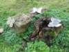 dscn1324_small.jpg