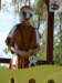 dsc04068_small.jpg