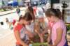 dsc04673_small.jpg