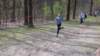 _113216_small.jpg