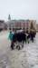 _115347_small.jpg