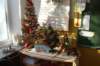 dsc06040_small.jpg