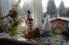dsc06056_small.jpg