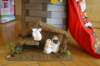 dsc06064_small.jpg