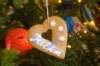 dsc06067_small.jpg