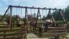 _162034_small.jpg