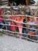 cam02273_small.jpg