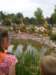 cam02280_small.jpg