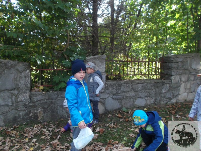 dscf2825.jpg