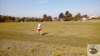 _112254_small.jpg