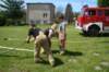 dsc08332_small.jpg