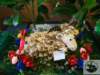 dsc03004_small.jpg