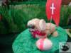 dsc03007_small.jpg