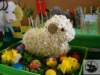 dsc03015_small.jpg