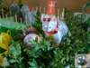 dsc03016_small.jpg