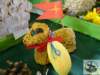 dsc03018_small.jpg