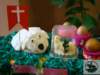 dsc03019_small.jpg