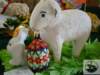 dsc03023_small.jpg