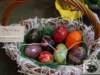 dsc03038_small.jpg