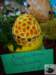 dsc03048_small.jpg