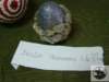 dsc03059_small.jpg