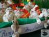 dsc03063_small.jpg