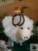 dsc03065_small.jpg