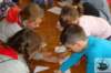 dsc04835_small.jpg