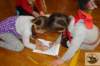 dsc04880_small.jpg
