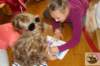 dsc04882_small.jpg