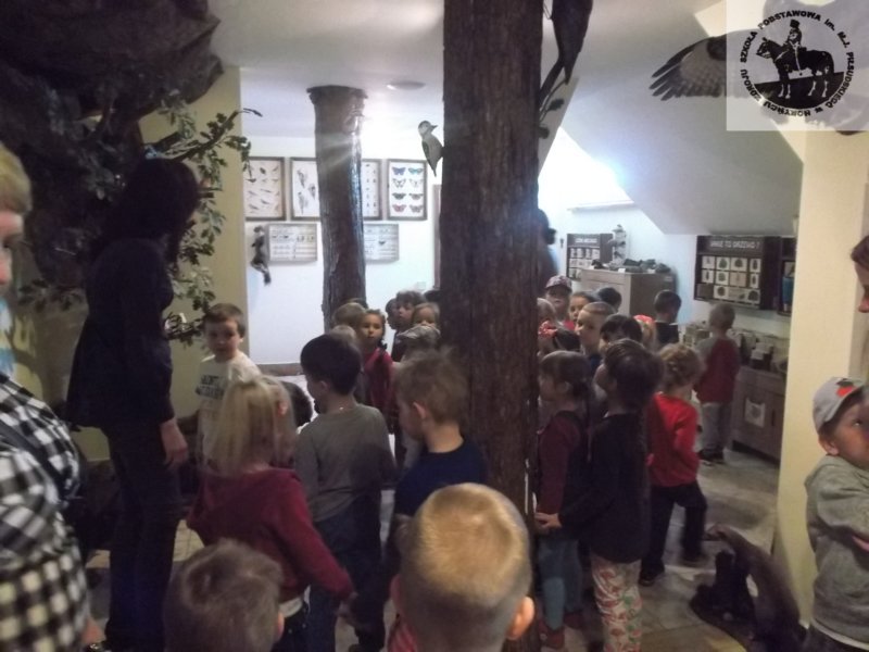 obraz037.jpg
