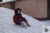 dsc02619_small.jpg